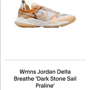 Brand New In box Jordan Delta Breathe, 6.5, Dark Stone,Sail, Praline